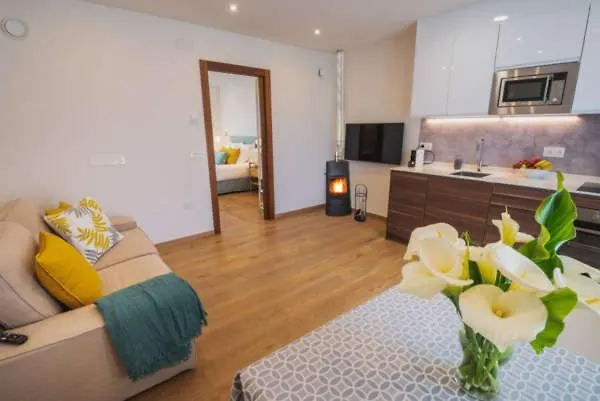 Apartahotel Mirador De Vidío